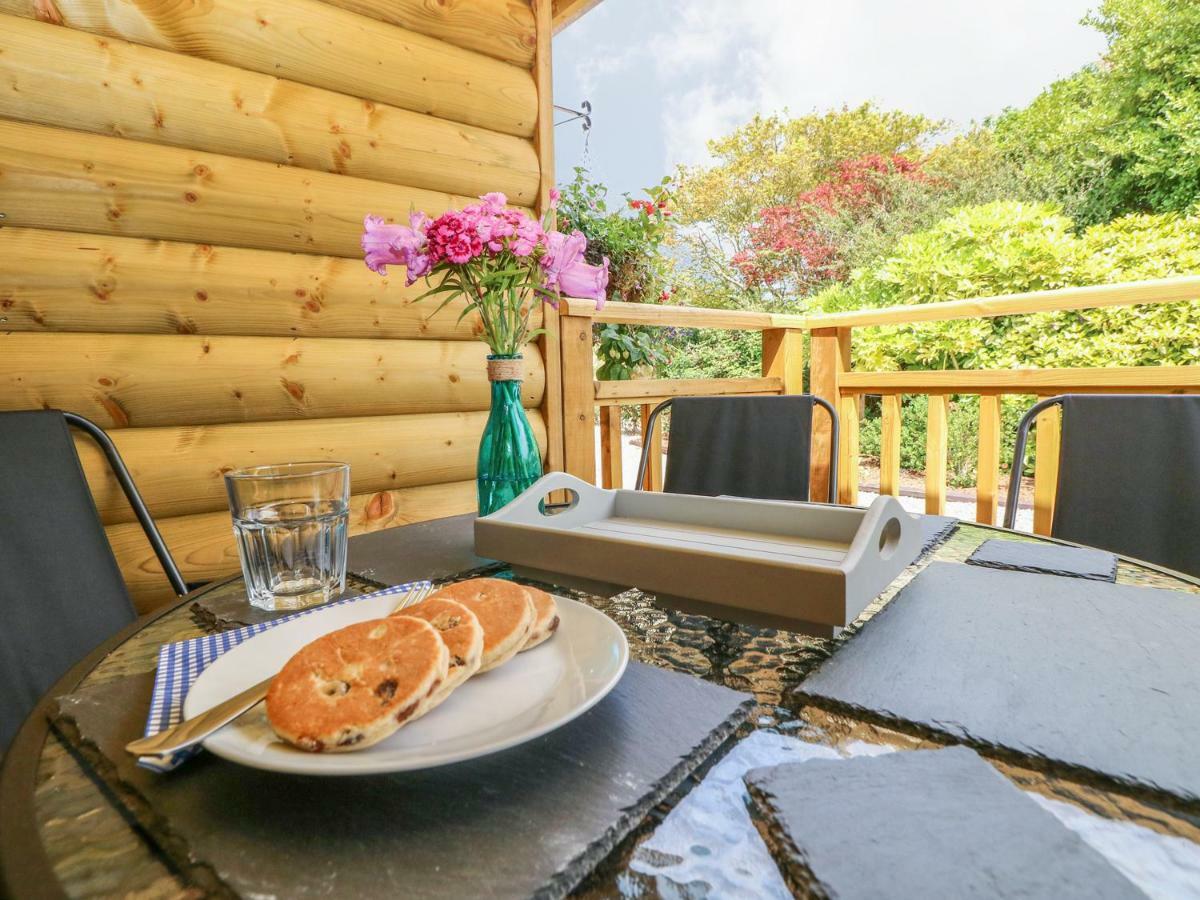 Willow Lodge Tenby Eksteriør billede